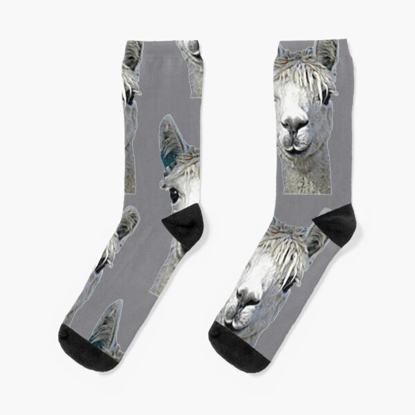 Alpaca Alpakka Alpaka Alpaga Socks