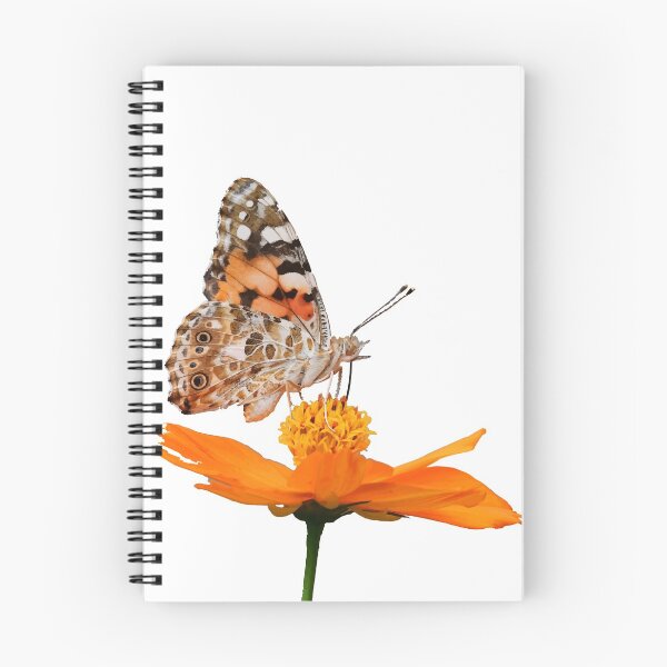 Item preview, Cute Butterfly shirt, Colored butterfly OrangeFlower  perfect gift for Sister designed and sold by redodaha.