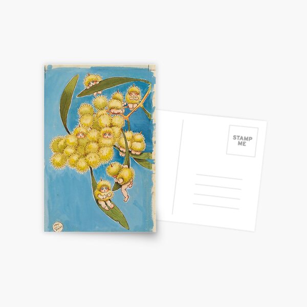 Wattle Babies - May Gibbs Postcard