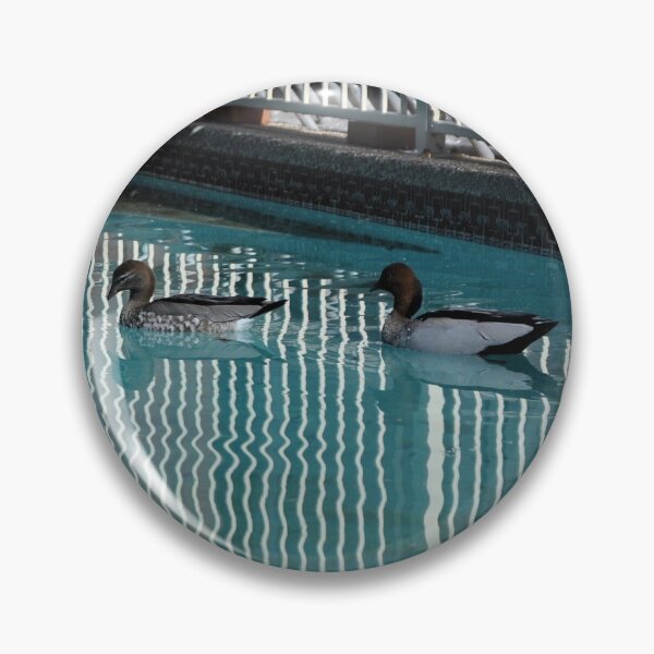 Item preview,  Ducks On Cement Pond, West Ryde, Australia 2018 designed and sold by muz2142.