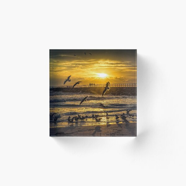 Item preview,  las gaviotas bailaron en la brisa del océano mientras comenzaban su vuelo en First Light designed and sold by Steven Kight.