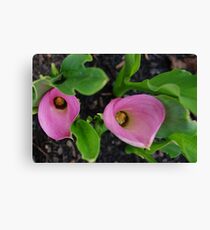 Loving Couple Canvas Print