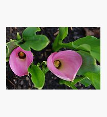 Loving Couple Photographic Print