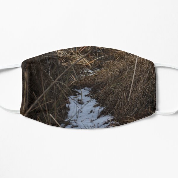 snowy path Mask
