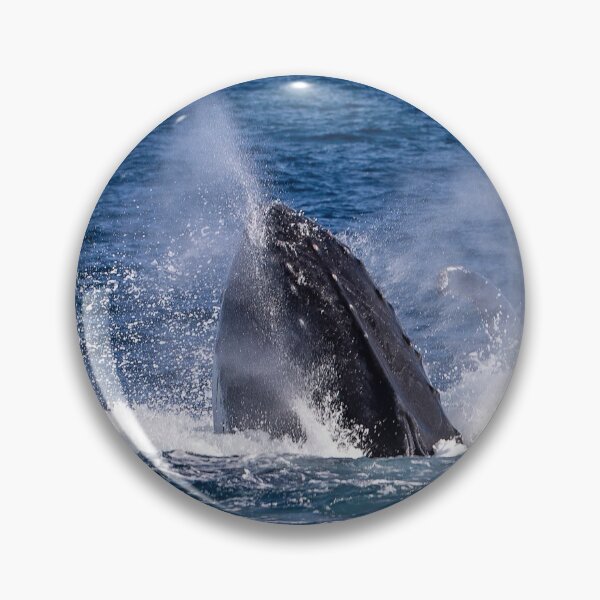 Item preview, Whale 1 designed and sold by Steve Bass.
