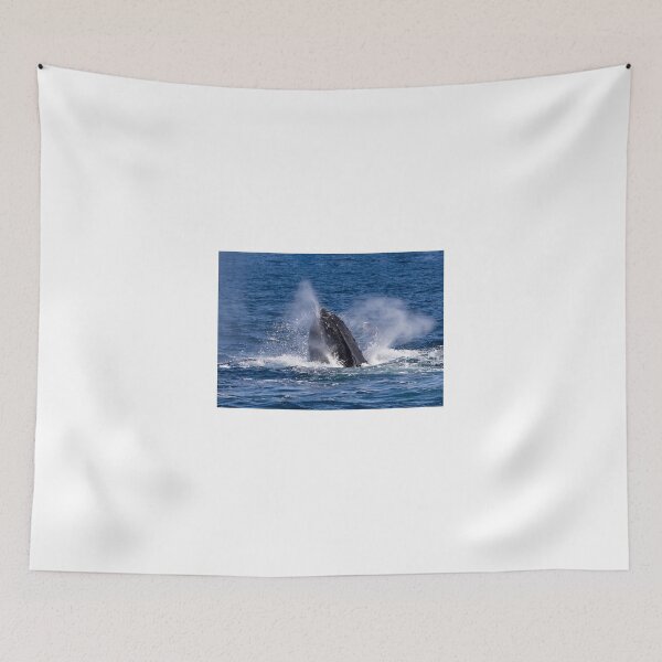 Item preview, Whale 1 designed and sold by Steve Bass.