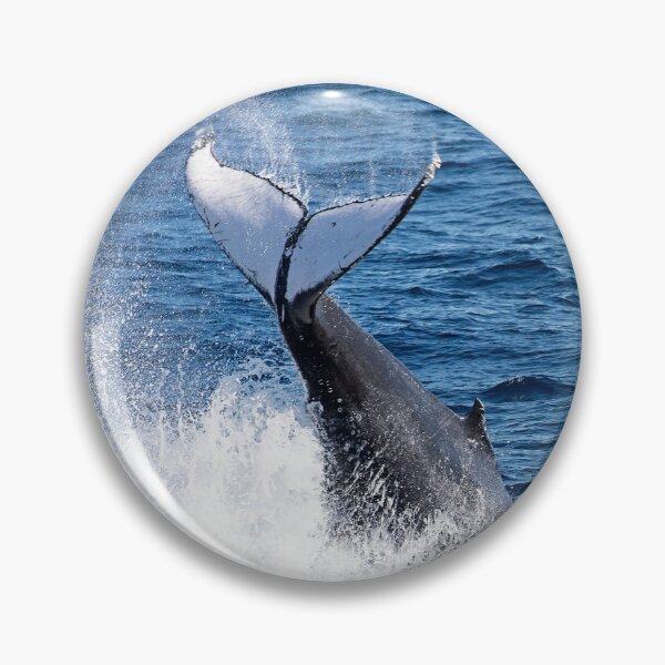 Item preview, Whale Tail designed and sold by Steve Bass.