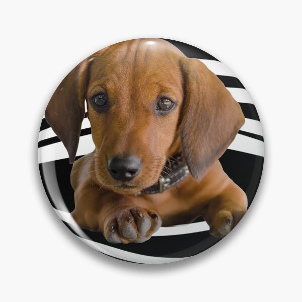 Artikelvorschau, Dachshund Stripes entworfen und verkauft von MonaMortiz.