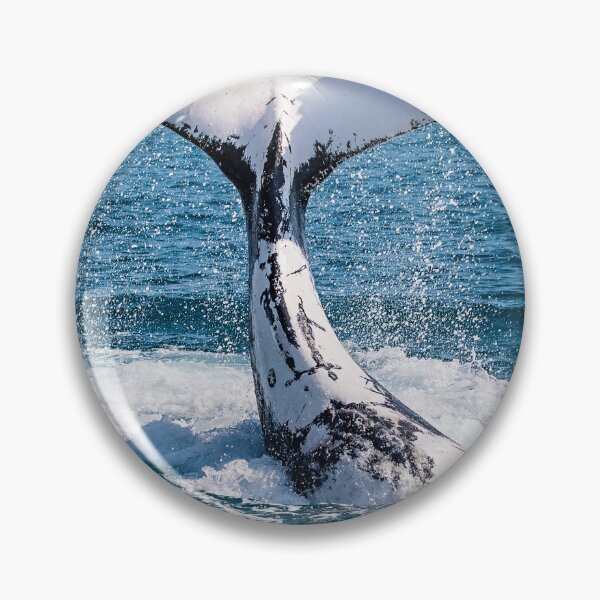 Item preview, Whale Tail 2 designed and sold by Steve Bass.
