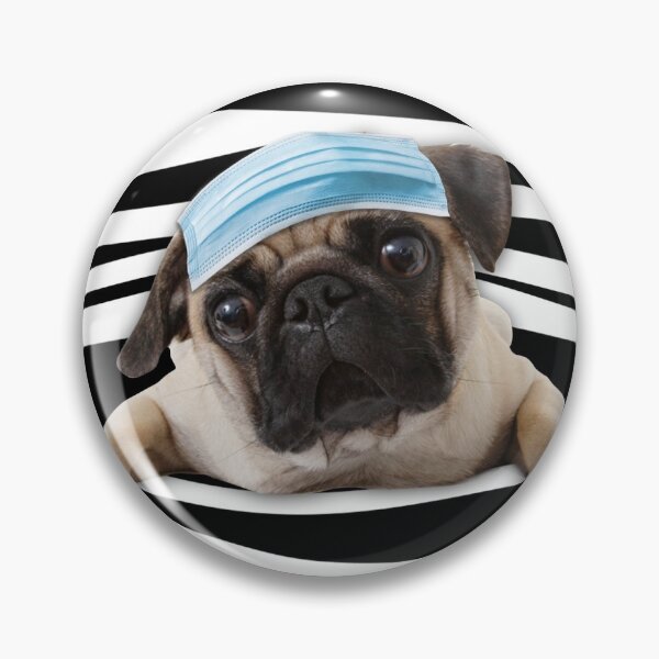 Artikelvorschau, Pug Stripes entworfen und verkauft von MonaMortiz.