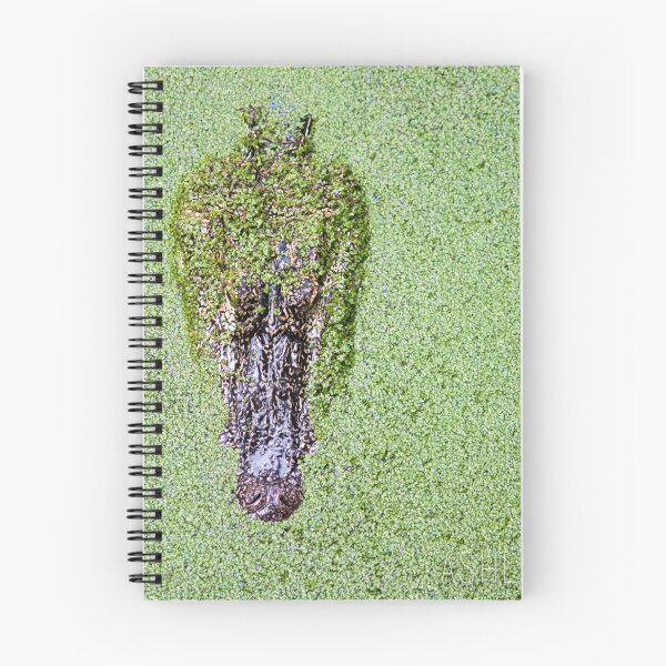 Item preview, Gator in Duckweed designed and sold by ashleyeasterly.