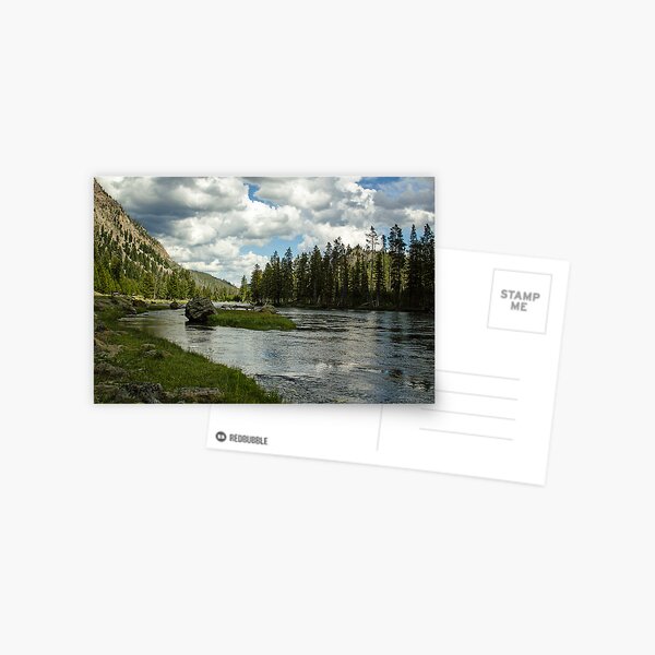 Snake River, Wyoming Postcard