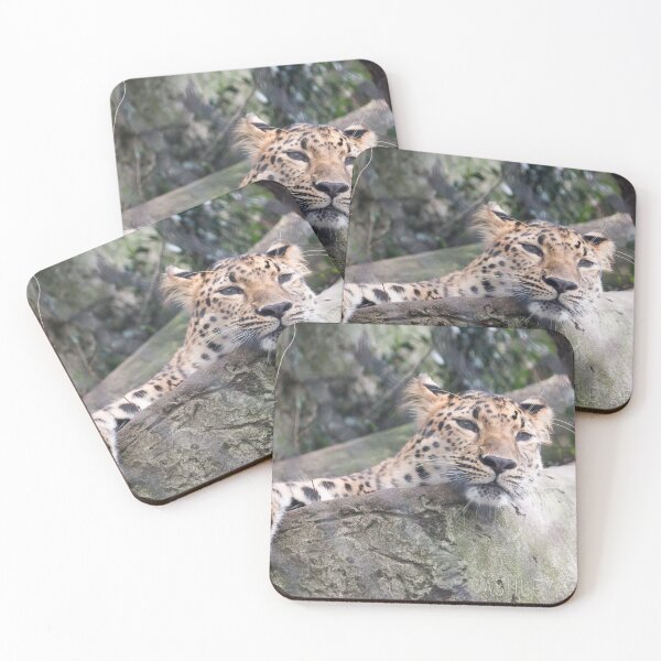 Item preview, Amur Leopard designed and sold by ashleyeasterly.