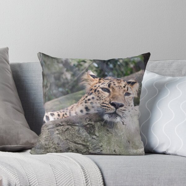 Aperçu de l'œuvre Amur Leopard créée et vendue par ashleyeasterly.