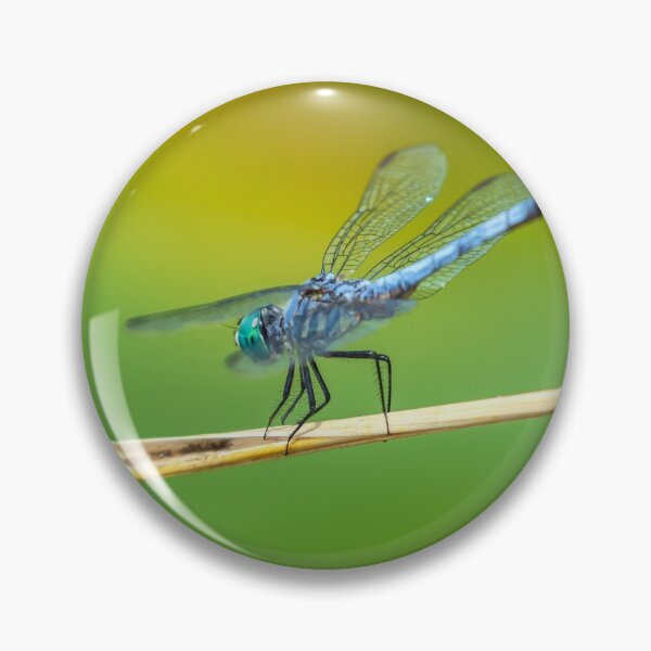 Item preview, dragonfly designed and sold by jvnimages.