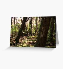 The crooked Forest Greeting Card