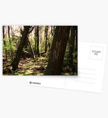 The crooked Forest Postcards