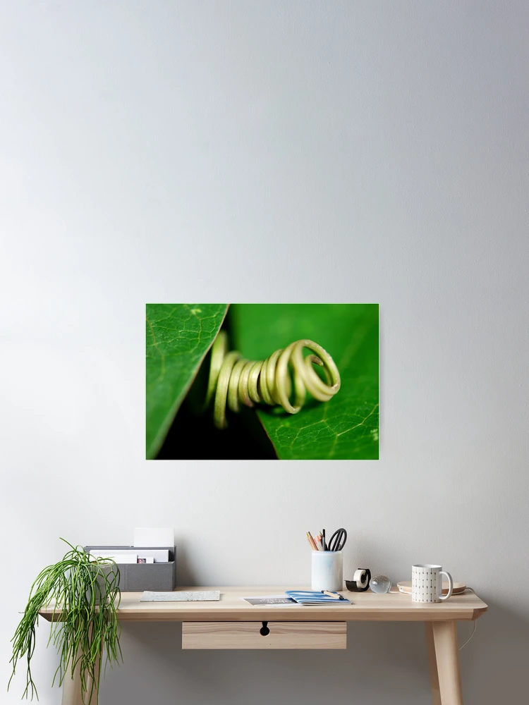Thumbnail 2 of 3, Poster, Spring Loaded designed and sold by Adam Le Good.