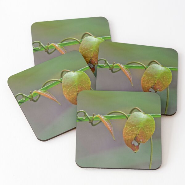 Item preview, Hang on designed and sold by Adam Le Good.