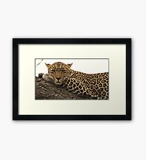 Karula - Peaceful Framed Print