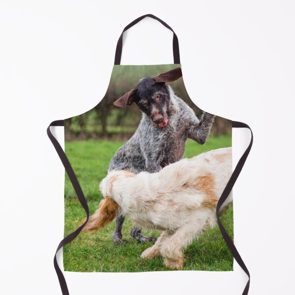 Item preview, Spinone Smacked Bottom Queue by heidiannemorris designed and sold by FOLK ART FUSION by heidiannemorris.
