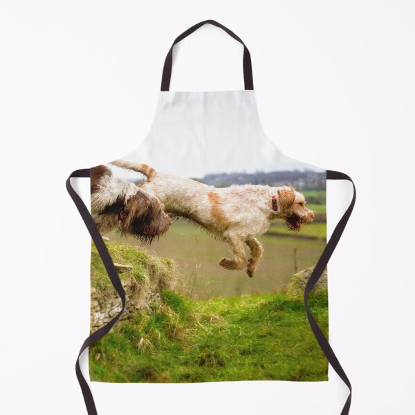 Item preview, Leaping off a Long Barrow Spinoni by heidiannemorris designed and sold by FOLK ART FUSION by heidiannemorris.