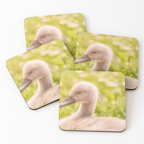 Item preview, Cygnet  designed and sold by jvnimages.