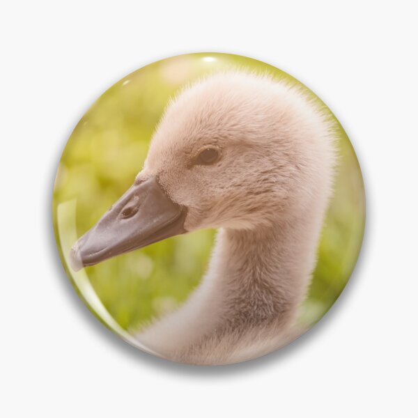 Item preview, Cygnet  designed and sold by jvnimages.
