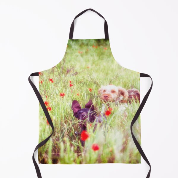 Item preview, Poppy Adventure Spinone designed and sold by FOLK ART FUSION.