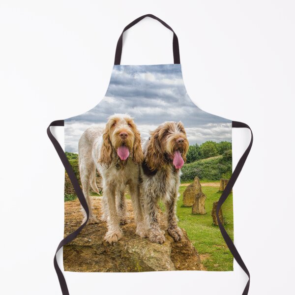 Item preview, Dogs on a Rock Spinoni by heidiannemorris designed and sold by FOLK ART FUSION by heidiannemorris.