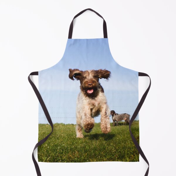 Item preview, Incoming Italian Spinone designed and sold by FOLK ART FUSION by heidiannemorris.