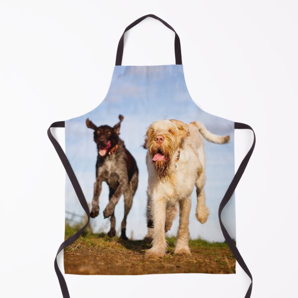 Item preview, Go for launch Spinone by heidiannemorris designed and sold by FOLK ART FUSION by heidiannemorris.
