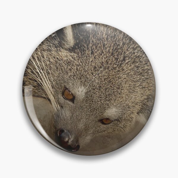 Item preview, Binturong designed and sold by Elisabeth Lucas.