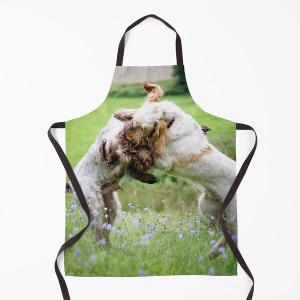 Item preview, Wildflower play fight Spinoni by heidiannemorris designed and sold by FOLK ART FUSION by heidiannemorris.
