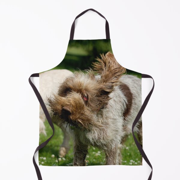 Item preview, Head Shake Spinone by heidiannemorris designed and sold by FOLK ART FUSION by heidiannemorris.