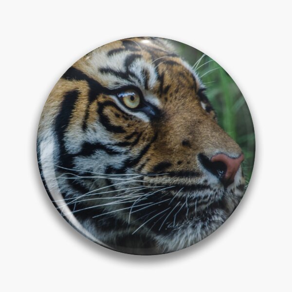 Item preview, Hello Tiger I designed and sold by Adam Le Good.