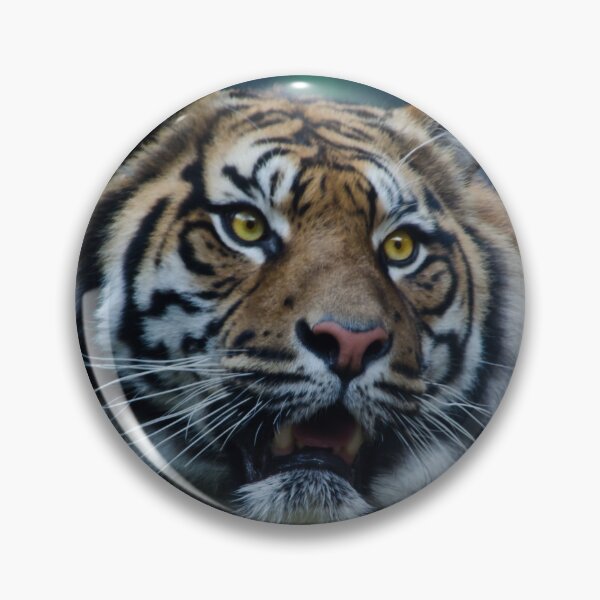 Item preview, Hello Tiger II designed and sold by Adam Le Good.