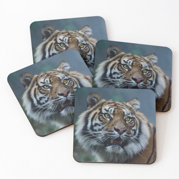 Item preview, Hello Tiger II designed and sold by Adam Le Good.