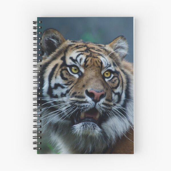 Item preview, Hello Tiger II designed and sold by Adam Le Good.