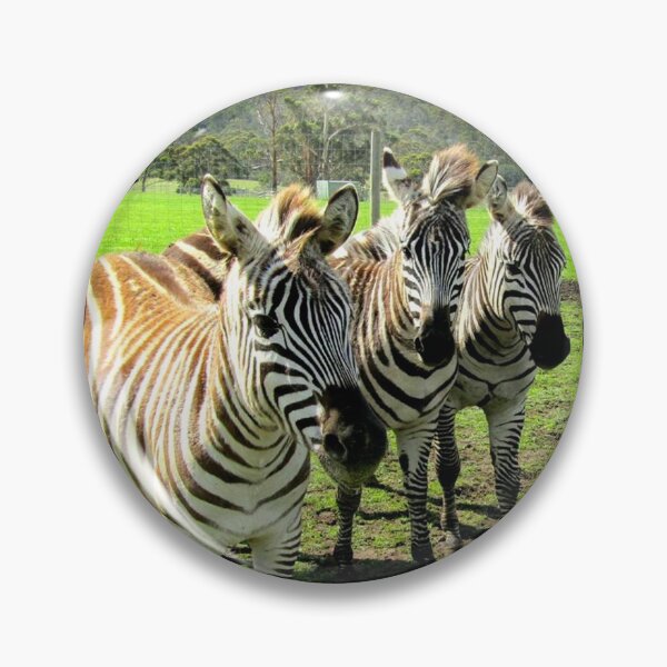 Item preview, Friendly Zebras designed and sold by Felicity-K.