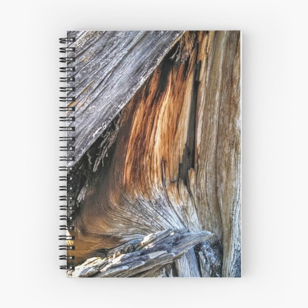 Item preview, Juniper Tree Study II designed and sold by brusling.