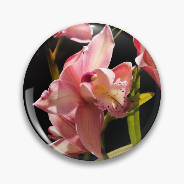 Item preview, Cymbidium Orchid designed and sold by Roz McQuillan Fine Art & Photography.
