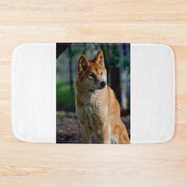 Item preview, Dingo Gaze designed and sold by GP1746.