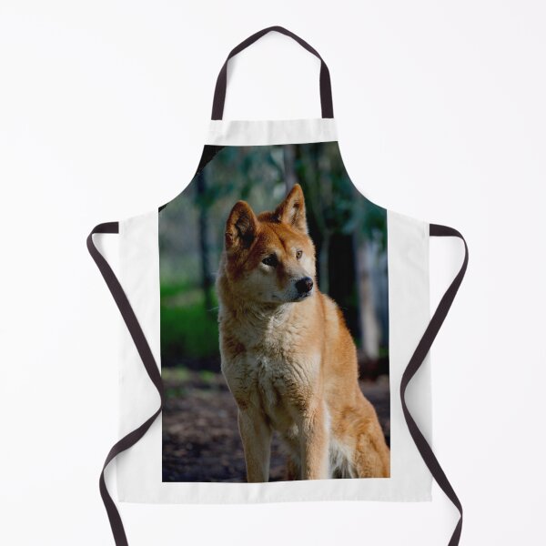 Item preview, Dingo Gaze designed and sold by GP1746.