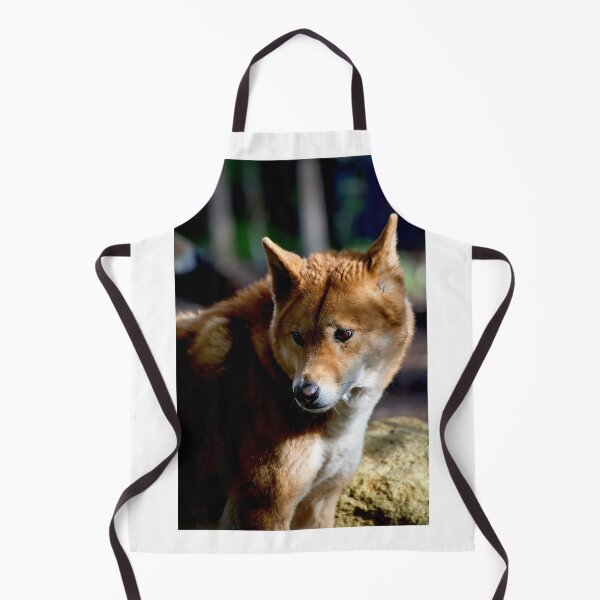 Item preview, Dingo Stare designed and sold by GP1746.