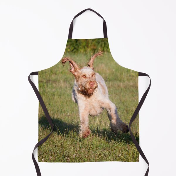 Item preview, Flying ears Spinone by heidiannemorris by heidiannemorris © designed and sold by FOLK ART FUSION by heidiannemorris.