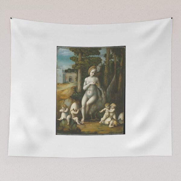 Item preview, Bachiacca - Leda And The Swan designed and sold by artcenter.