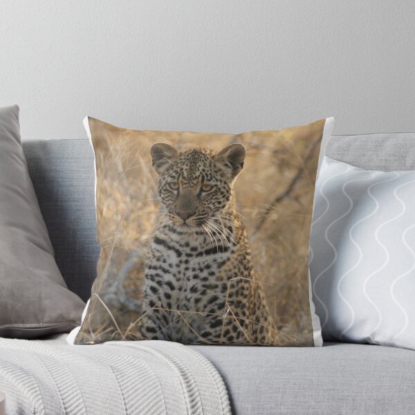 Item preview,  f5.6 designed and sold by Tara Pirie.