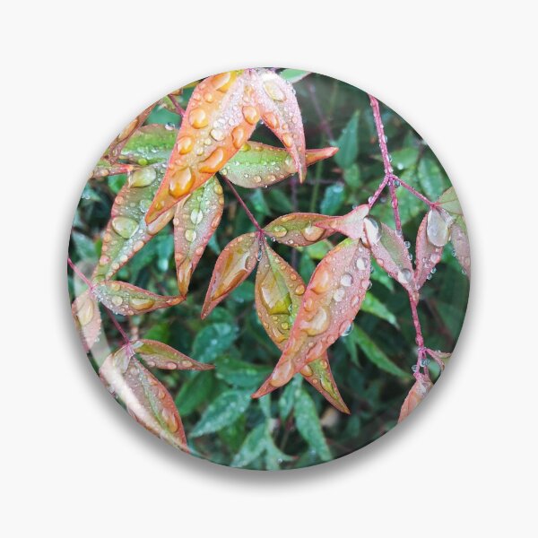 Item preview, Early Morning Dew designed and sold by Roz McQuillan Fine Art & Photography.