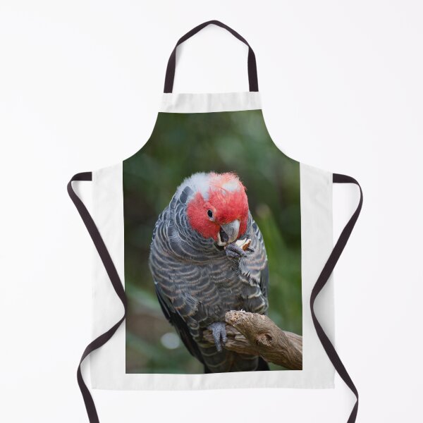 Item preview, Bribery designed and sold by GP1746.